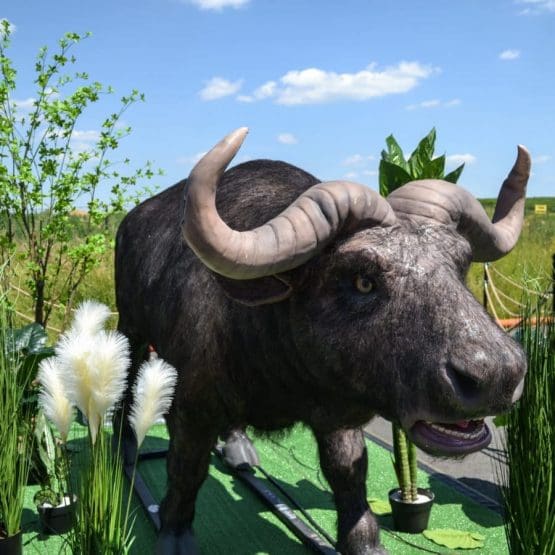 Büffel animatronisch Afrikaausstellung