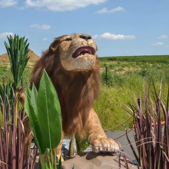 Animatronischer Löwe Afrikaausstellung
