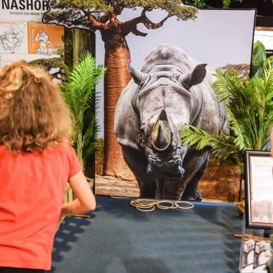Nashorn Wurfspiel Afrikaausstellung