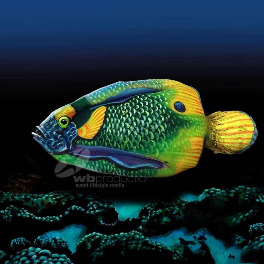 Johannesstoetterart reef fish small