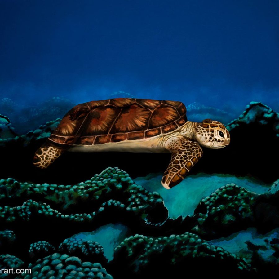 Johannesstoetterart sea turtle